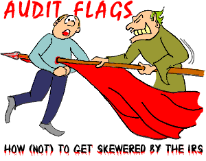 Audit Flags